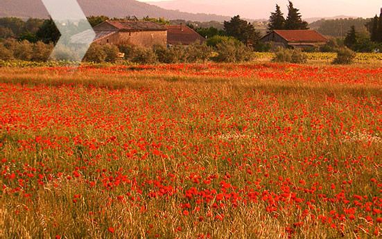 Paradis en Provence - Provence