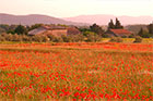 Paradis en Provence - Aix en Provence